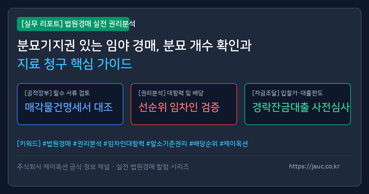 분묘기지권 임야 경매 시 확인 사항과 지료 청구 요약 인포그래픽