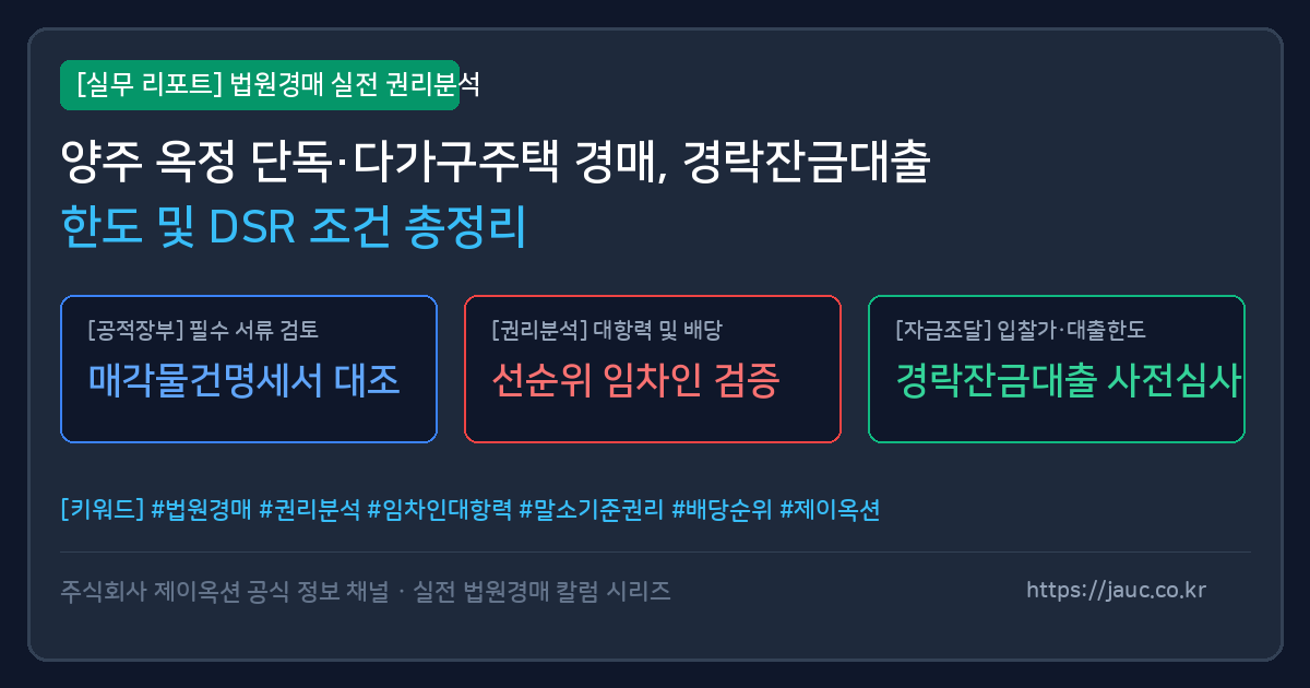 양주 옥정 단독 다가구주택 경매 경락잔금대출 및 DSR 조건 체크리스트 인포그래픽